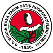 KOZABİRLİK SİGORTA ARACILIK HİZMETLERİ